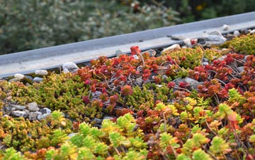 the cost of Kinson green roof installation