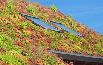 Kinson living roof systems
