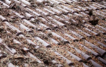 Kinson roof cleaning companies