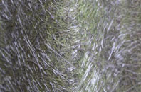 Kinson fibreglass roof work